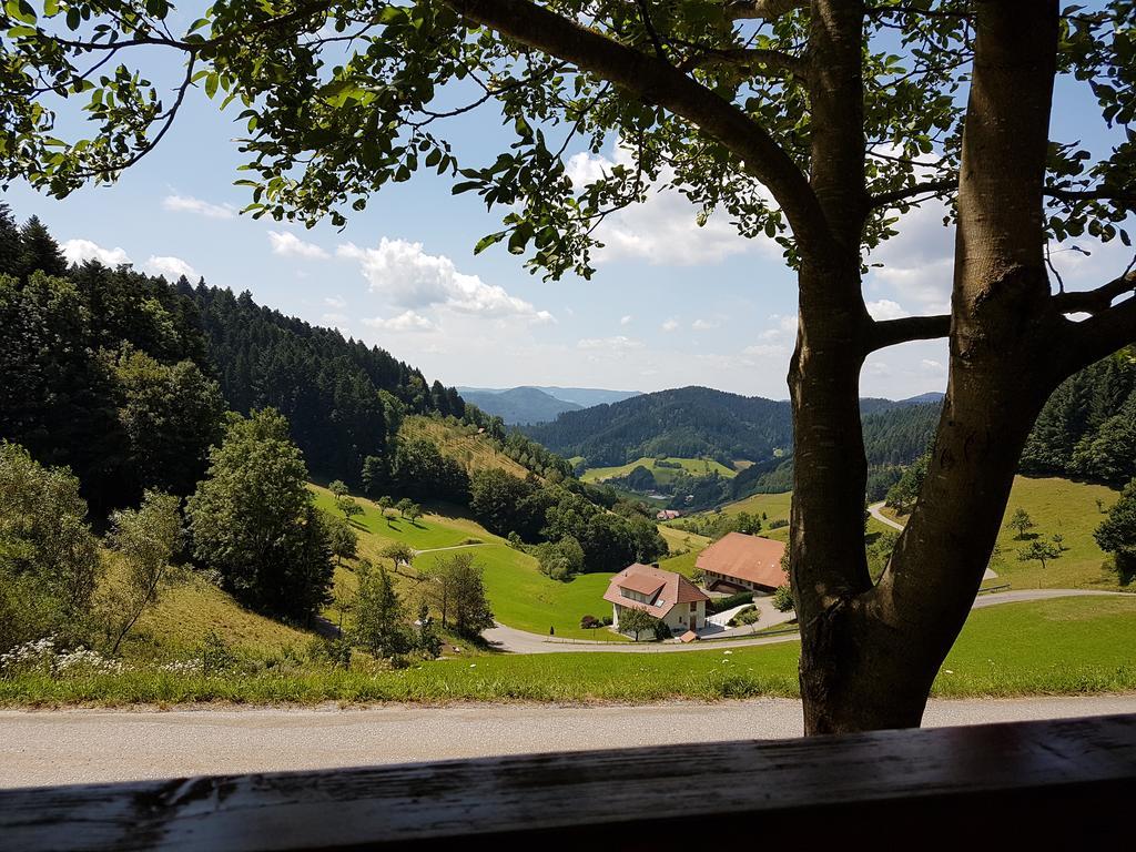 Hotel 3 Koenige Oberwolfach Εξωτερικό φωτογραφία